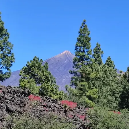 Un Nid Au Soleil Nyaraló