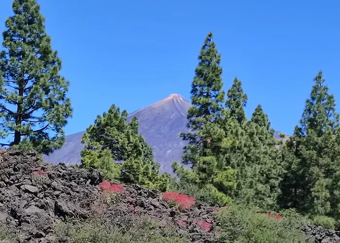 Un Nid Au Soleil Holiday home